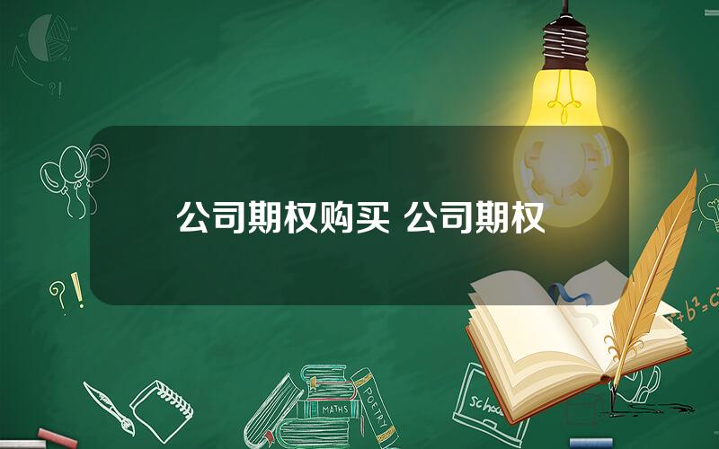公司期权购买 公司期权
